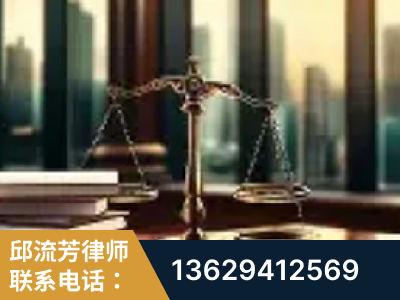项城-重大刑事案件处理