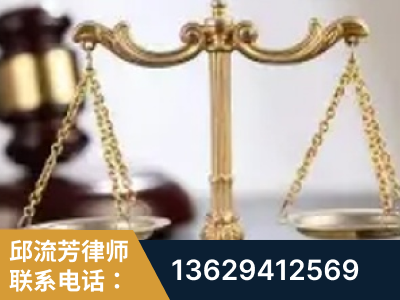 项城-委托诉讼代理人出庭
